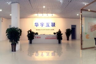 北京華宇互聯(lián)科技邯鄲分公司——信息技術(shù)咨詢服務(wù)的職業(yè)體驗(yàn)與薪資分析